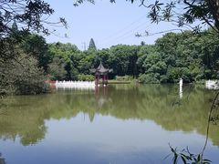 -青龙山国家森林公园