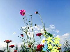 -梁子湖东篱老屋生态庄园