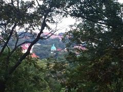 iphone_upload_pic-阿兹凯乐·老洋房西餐
