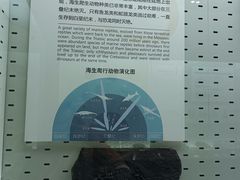 -浙江自然博物院(杭州馆)