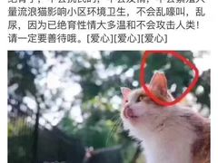 -艾贝尔宠物医院 ·中兽医·宠保定点(北门桥店)