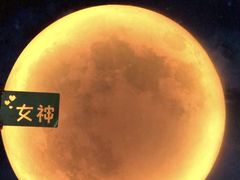-天津梵高星空艺术馆(天河城旗舰店)