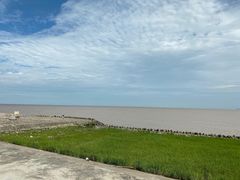 -南汇嘴观海公园
