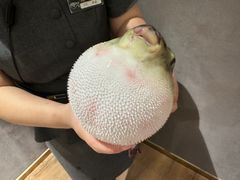-鲐赏河豚(长寿店)