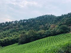 -敬亭山风景名胜区