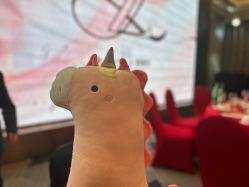 -曼格纳婚礼艺术中心(张江店)