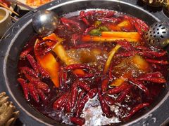 -蜀大侠火锅(总府路店)