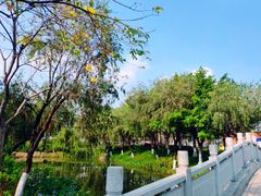 -映月湖公园