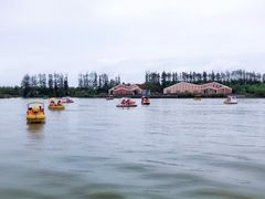 -上海长兴岛郊野公园