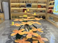 -潜山国家森林公园