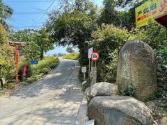 -梧桐山风景名胜区