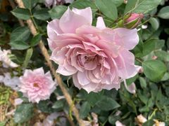 -人民公园(罗湖区)