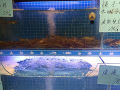 -阿毛饭店(和义路店)