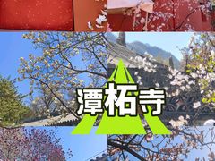 -潭柘寺景区