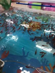 -孩子王(协信星光时代广场店)