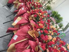 -淘花源花艺鲜花店 开业花篮 绿植(南部商务区店)