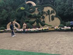 -汇龙潭