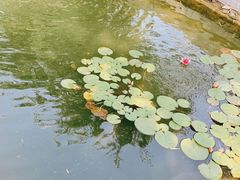 -春风习习