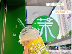 -茉酸奶(春熙路店)