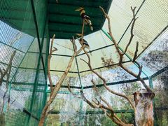 -海南热带野生动植物园