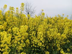 -中国天府农业博览园