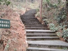 -铁山坪森林公园