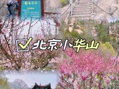 -北京凤凰岭