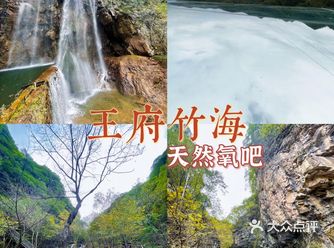 郊游遛娃踏青好去处，王府竹海，天然氧吧