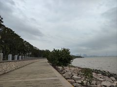 -深圳湾公园(南山区)