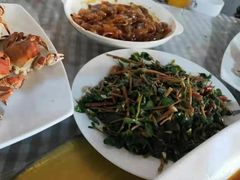 -金台阶鱼馆(于桥水库店)