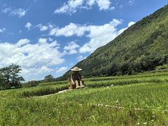 -万峰林风景区
