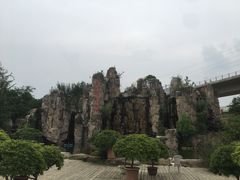 -秀丽东方