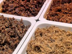 -老四川(T3航站楼F指廊店)