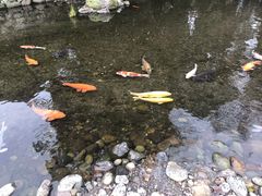-水前寺成趣园