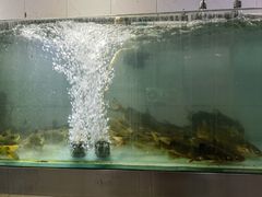 -亮欢寨酸汤鱼(沙冲路店)