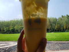 -合肥滨湖国家森林公园