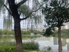 -青城公园