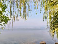 -西昌邛海湿地