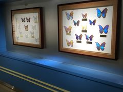 -上海昆虫博物馆