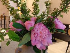 -HUATA 'Holiday Plan 花榻