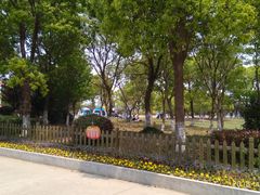 -上海都市菜园