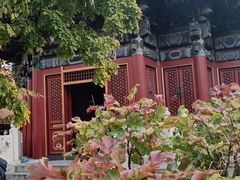 -故宫博物院(故宫)