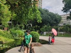 -晓港公园