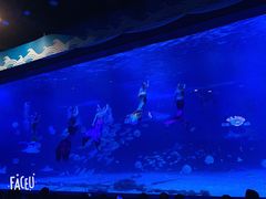 -烟台海昌鲸鲨海洋公园