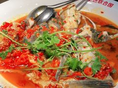 -坛宗剁椒鱼头(河西王府井店)