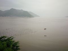 -北岐滩涂