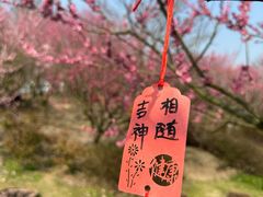 -花开海上生态园