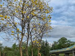 -白鹭湾湿地公园