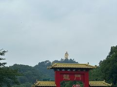 -南山植物园