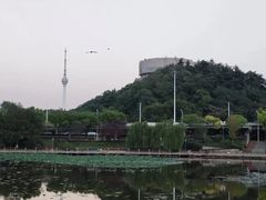 -月湖风景区